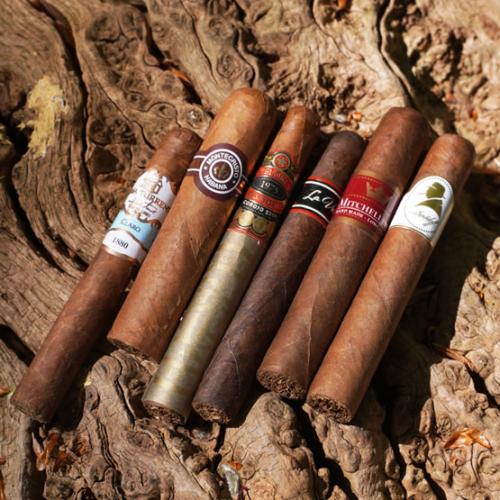 Short Cigars Short Cigars